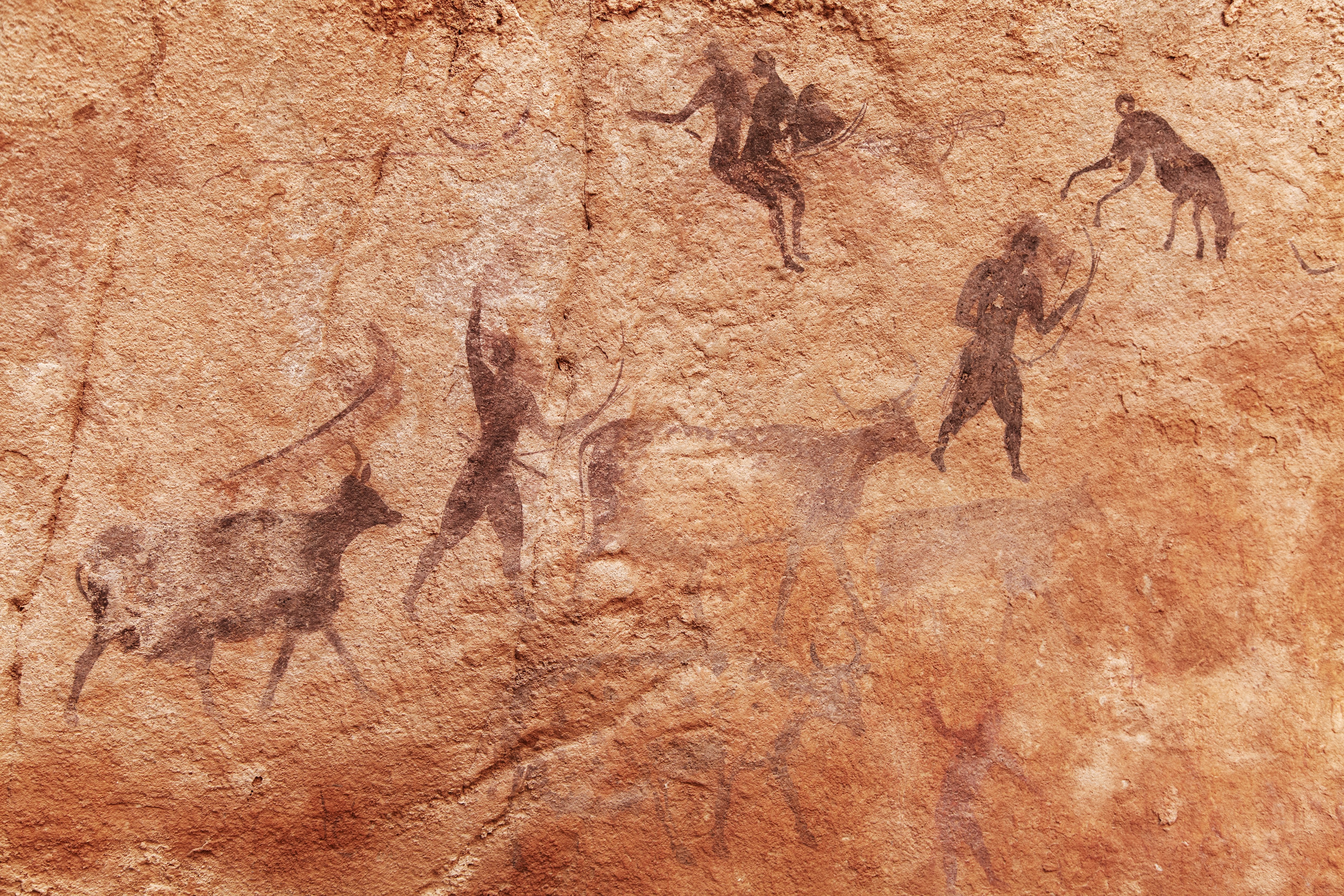 Cave art depicting human and animal husbandry